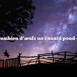 Question : combien d’œufs un canard pond-il par jour ?